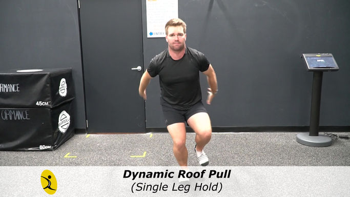V. Advanced Proprioceptive Exercises